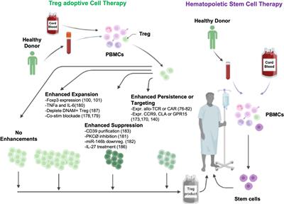 Emerging translational strategies and challenges for enhancing regulatory T cell therapy for graft-versus-host disease